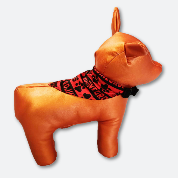 KIT BANDOLA Y CACHUCHA AFC MASCOTA-3