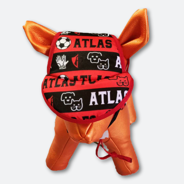 KIT BANDOLA Y CACHUCHA AFC MASCOTA-4