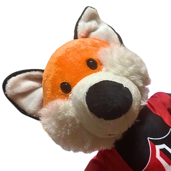 ZORRITO PASION ROJINEGRA AFC-3