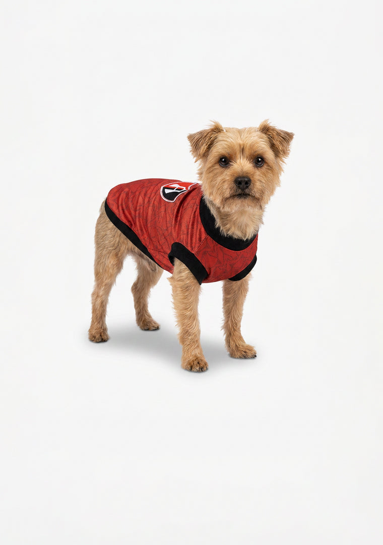 JERSEY MASCOTA ATLAS FC VISITA ROJINEGRO-6