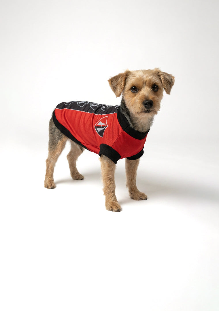 JERSEY PARA MASCOTA ATLAS FC 25/26-8