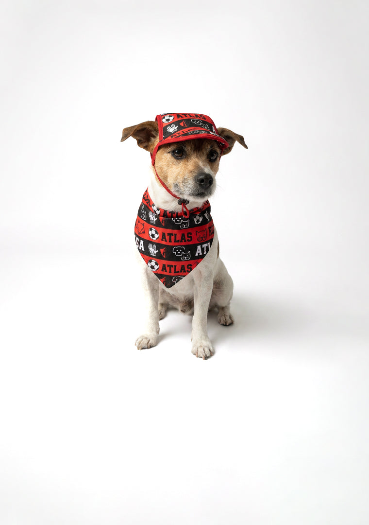 KIT BANDOLA Y CACHUCHA AFC MASCOTA