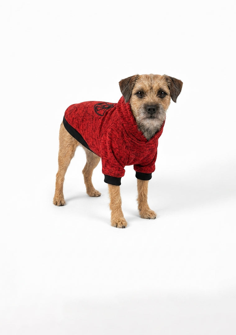 SUDADERA ATLAS FC PARA MASCOTA-6