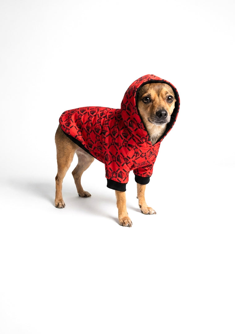 SUDADERA PARA MASCOTA ATLAS FC