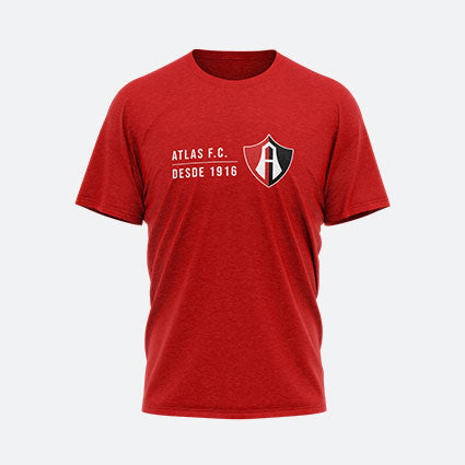 PLAYERA ROJO GRUNGE